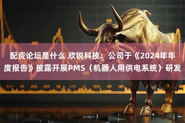配资论坛是什么 欣锐科技：公司于《2024年年度报告》披露开展PMS（机器人用供电系统）研发