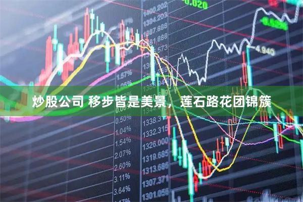炒股公司 移步皆是美景，莲石路花团锦簇